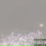 KidaLaPlug, Eloks, 208GAS