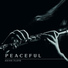 Guided Meditation Music Zone