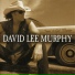 David Lee Murphy