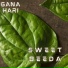 Gana Hari