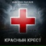 Дмитрий Рысаев, Кубинец