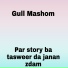 Gull Mashom