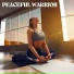 Yin Yoga Music Collection