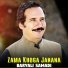 Baryali Samadi