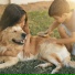 Boy With Pets