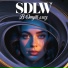 SDLW