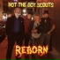 Not The Boy Scouts