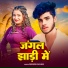Manish Balam