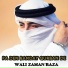 Wali Zaman Raza