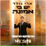 ארי גולד