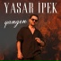 Yaşar İpek