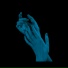 Interpol