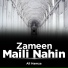 Ali Hamza