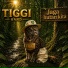 Tiggi Band