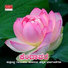 Jayasri, Ushaganesh