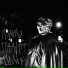 ttp noir