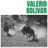 Valerio Bolivar