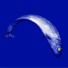 Moonmot