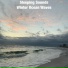 Sleeping Sounds