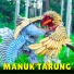 Wulandari