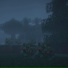 NIGHT SNOW