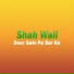 Shah Wali