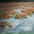 KOMAROV