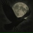 CROWS