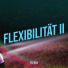 Flex54 feat. Suza415