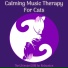 Cat Music, Cat Music Dreams, Cat Music Therapy