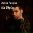 Amin Fayaz