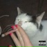 Kobbe