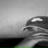 LILTRIK