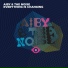 The Noise, Aiby