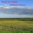 Pavel Na Gitare