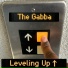 The Gabba