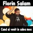 Florin Salam
