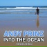 Andy Prinz
