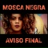 Mosca negra, Kathleen rosa, Andy cristina