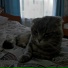 EFANTI feat. Catom