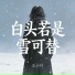 王小叶