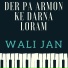 Wali Jan