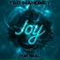 Ted Mahoney