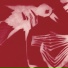 Tindersticks