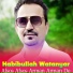 Habibullah Watanyar