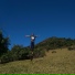 SoloCura