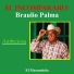 Braulio Palma