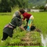 Amirsadegh Sharifi