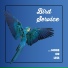 Bird Service