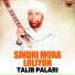 Talib Palari